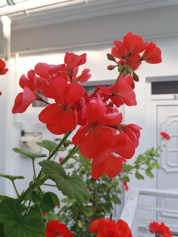 Levendula Apartmen Hévíz Buitenkant foto